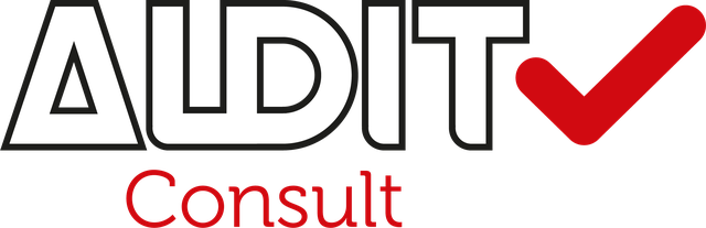 Audit Consult