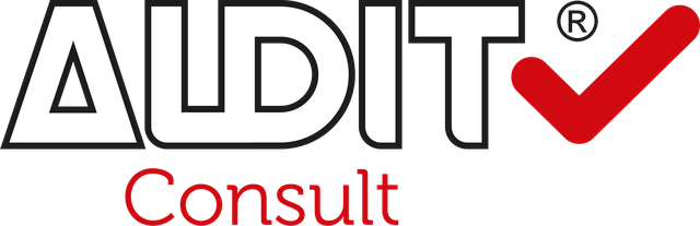 Audit Consult